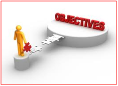 Business and IT Consultancy Objectives